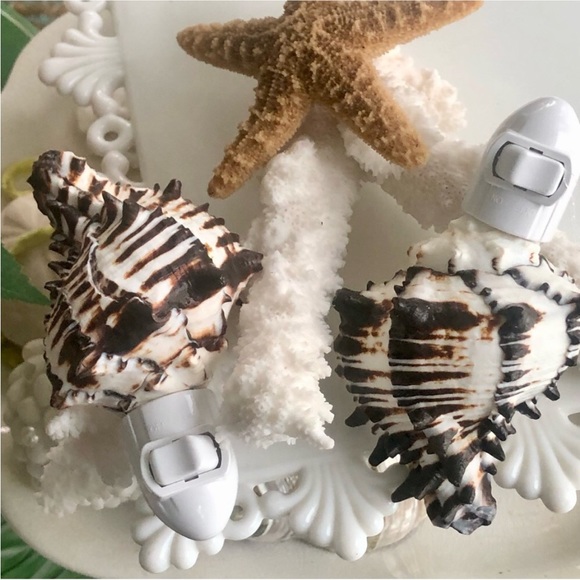 LADT ONE! NEW! Natural Black & White Murex Seashell Night Light - Picture 3 of 7